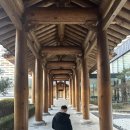 봉 게임장 | 아이랑 부여여행 숙소 추천 롯데리조트 디럭스 한실트윈 1박 후기 아쿠아가든 내돈내산