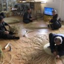 조안2리 이미지