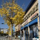 글라스스토리 문경점 이미지