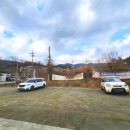 펫프닝 타운 이미지