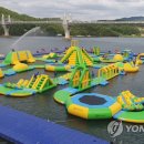 캠프통포레스트