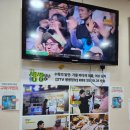 어풍선어&활어