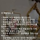 멋 물들이다 | 동글이체어 빈티지 정원으로 물들이다. 예쁜 고객님 후기