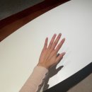 발라발라 송도 젤네일 미러파우더 네일 후기