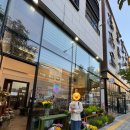 새순 | 천안 불당동 가성비 무인 꽃집 새순 내돈내산 후기 천안사랑카드 가능