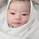 미즈아이산부인과 네이버블로그