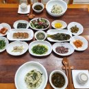 트리하우스민박 이미지