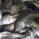 휴 펜션 해양 이미지