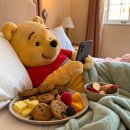 스타갤러리 | KB 금융그룹 스타챔피언십 klpga 메이저 대회 갤러리 후기 ⛳️💛