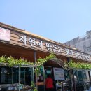 2025년 봄 남도여행 (목포,신안, 진도 등)1 이미지