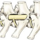 길음동물병원 이미지