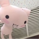 위고