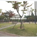 오산시청2 이미지