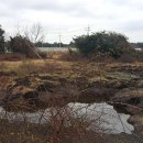 우리목장 이미지