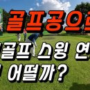 골프공으로 파크골프 스윙 연습하기 이미지