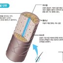 꼼꼼이미용실