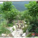 펜션 강가애 이미지