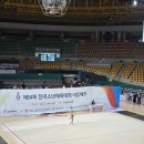 경기자원 | 전국소년체육대회 리듬체조 경기에 함께한 자원봉사자들의 이야기