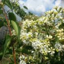 김기영농장 이미지