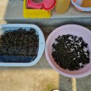 부귀로1400 이미지