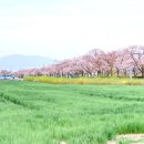 청량농장 이미지