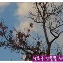 정경농장 이미지