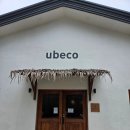 필리핀 보홀 팡라오 맛집 추천 : 감성+맛 다 잡은 ubeco(유베코) 솔직후기