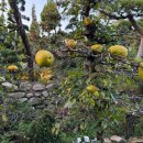 카페포렛 | 정읍 정원 있는 카페 제이포렛