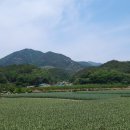 내지2리경로당 이미지