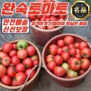 토마토 - 은평구 불광천길 322 | 토마토