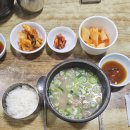 대성식품 | 도가니탕 맛집 독립문역 대성집 위치 메뉴 후기 주차정보(이용꿀팁)