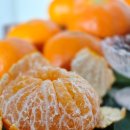 귤담집 | 제주 레드향 가정용 후기 효돈귤담 추천 5kg 과즙폭발