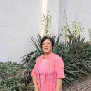 수협공판장앞 이미지