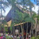 대별농장 | 하와이 자유여행 - 오아후 고시티패스 활용 후기 | 와이키키 선셋 크루즈 | 폴리네시안 문화센터 PCC...