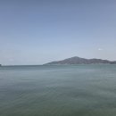 바다정원 이미지