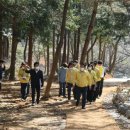 더푸른 이미지