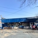 화도낚시터 | 남양주낚시터 화도낚시공원 | 겨울에도 얼지 않는 손맛터 조행기(2026.02.20)