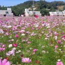 봉일천4리 이미지