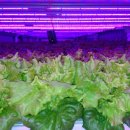 한화농장 이미지