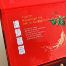 고삼정