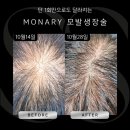 에츠하임 이미지