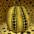 근화농장 | 우당탕탕 신혼여행기😱 다섯째날