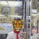 무왕로4길 | 전북지방의 어느 장소에 대하여