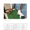 대구반려동물산업협동조합 함개하자냥 이미지