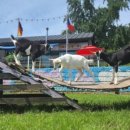 세딸목장 이미지