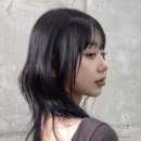 수진디자인 이미지