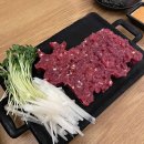 뉴센스노래바