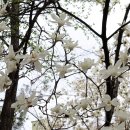 우산각
