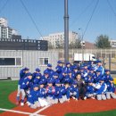 기흥구 리틀야구장 이미지