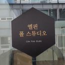 엘핀폴스튜디오